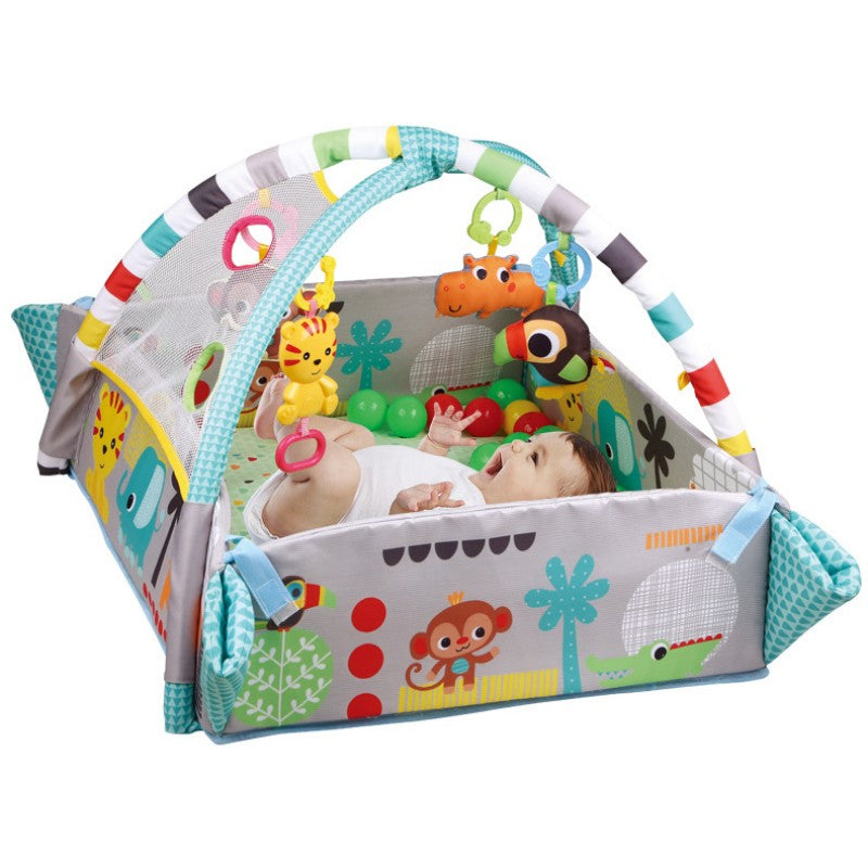 Ocean Ball Fitness Rack