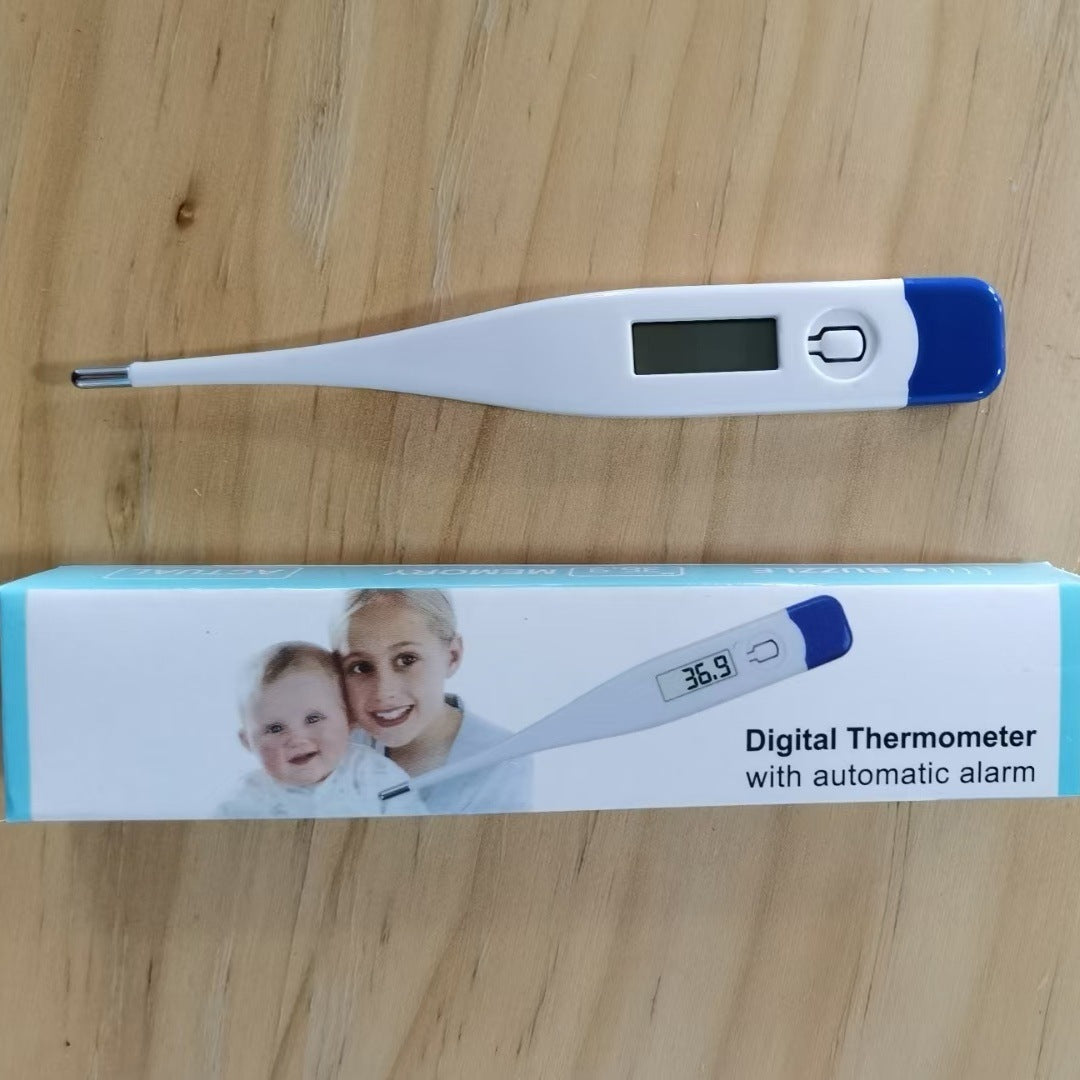 Electronic Thermometer