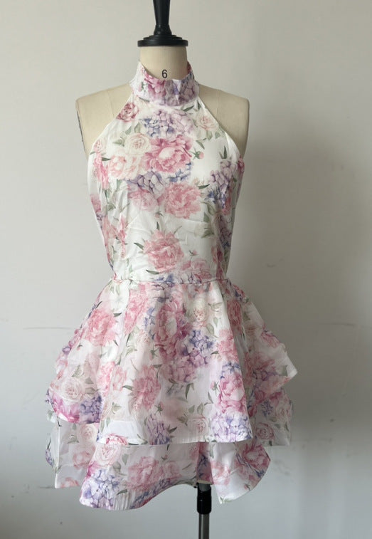 Women's Fashion Print Sexy Halter Neck Bowknot Backless Dress